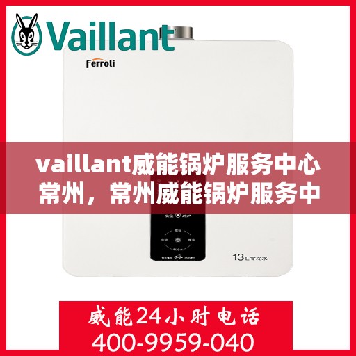 vaillant威能锅炉服务中心常州，常州威能锅炉服务中心，专业维护与高效运行的守护者