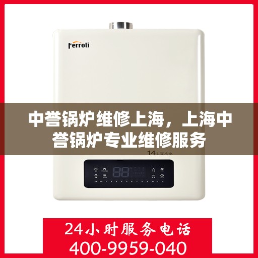 中誉锅炉维修上海，上海中誉锅炉专业维修服务