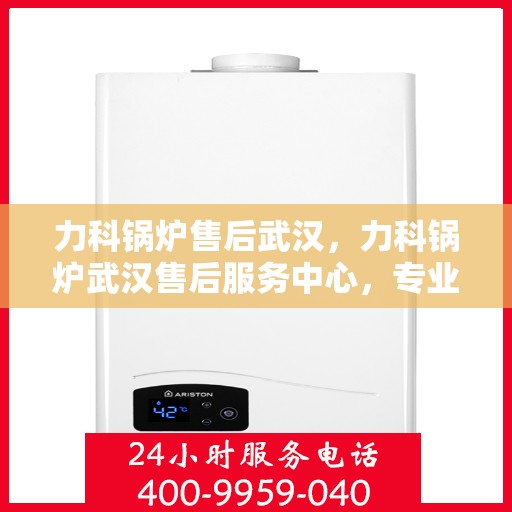 力科锅炉售后武汉，力科锅炉武汉售后服务中心，专业维修，贴心服务