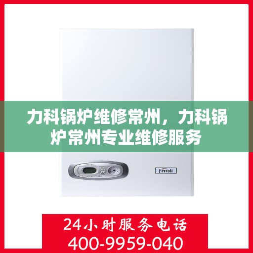 力科锅炉维修常州，力科锅炉常州专业维修服务