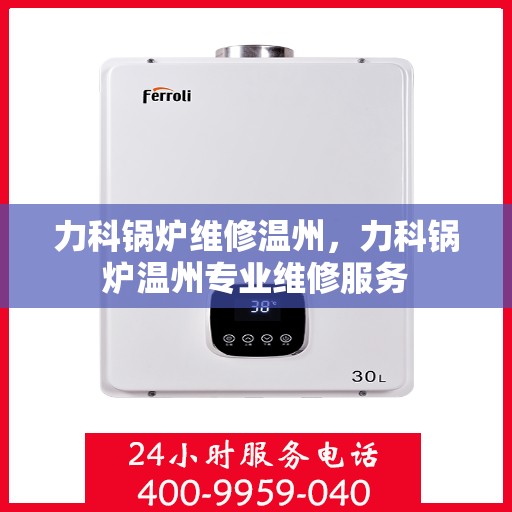 力科锅炉维修温州，力科锅炉温州专业维修服务