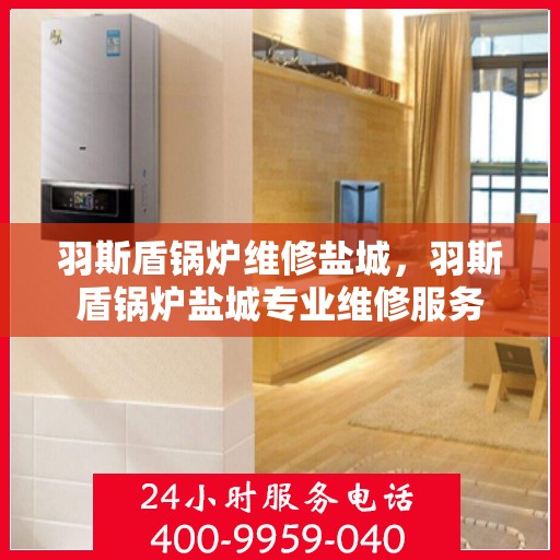 羽斯盾锅炉维修盐城，羽斯盾锅炉盐城专业维修服务