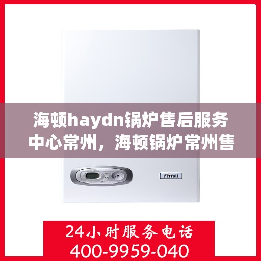 海顿haydn锅炉售后服务中心常州，海顿锅炉常州售后服务中心，专业维修，贴心服务
