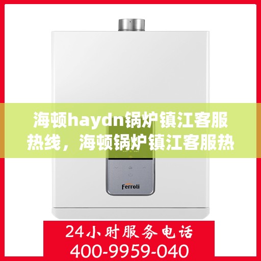 海顿haydn锅炉镇江客服热线，海顿锅炉镇江客服热线，专业支持与解决方案一站式服务