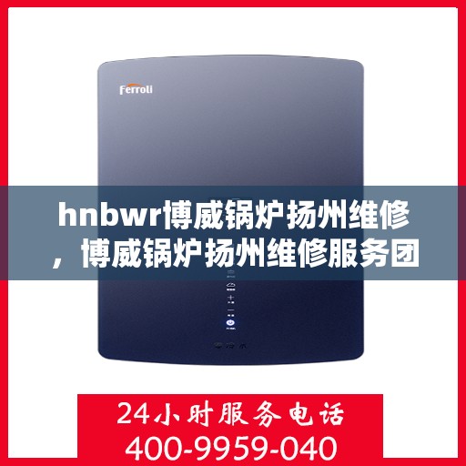 hnbwr博威锅炉扬州维修，博威锅炉扬州维修服务团队专业解析与体验分享